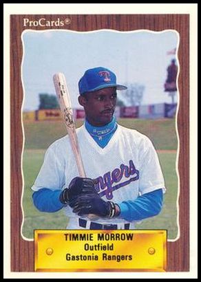 2533 Timmie Morrow